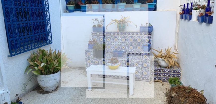 Rez-de-chaussé de Villa S+2 , Sidi Bou Saïd