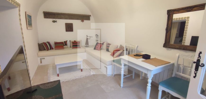 Maisonnette S+1 meublée, Sidi Bou Saïd