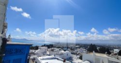 Appartement S+2 meublé, Sidi Bou Saïd