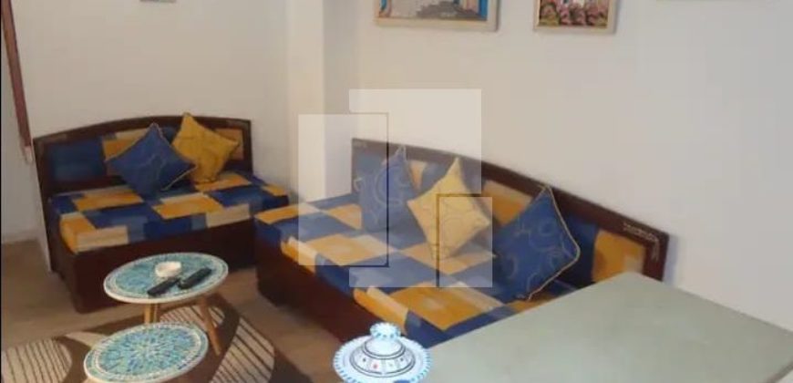 Appartement S+1 meublé , Marsa ville