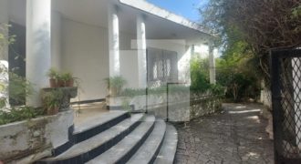 Maison S+3 a retaper, Alain Savary