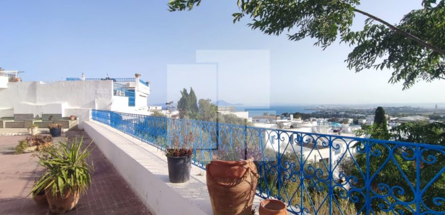 Villa S+5 avec vue sur mer, Sidi Bou Saïd