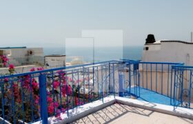 Appartement S+2 meublé, Sidi Bou Saïd