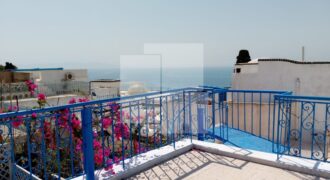 Appartement S+2 meublé, Sidi Bou Saïd