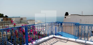 Appartement S+2 meublé, Sidi Bou Saïd