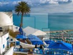 Villa avec jardin, Sidi Bou Saïd