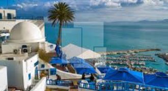 Villa avec jardin, Sidi Bou Saïd