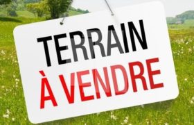 Terrain bien situé, Chotrana 3