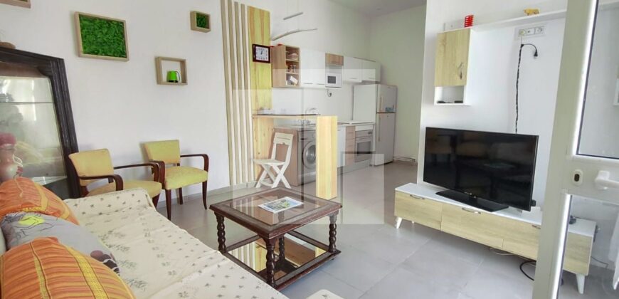 Appartement S+1 meublé, Sidi Bou Saïd