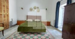 Appartement S+1 meublé, Sidi Bou Saïd