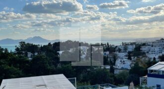 Villa avec vue sur mer, Sidi Bou Saïd