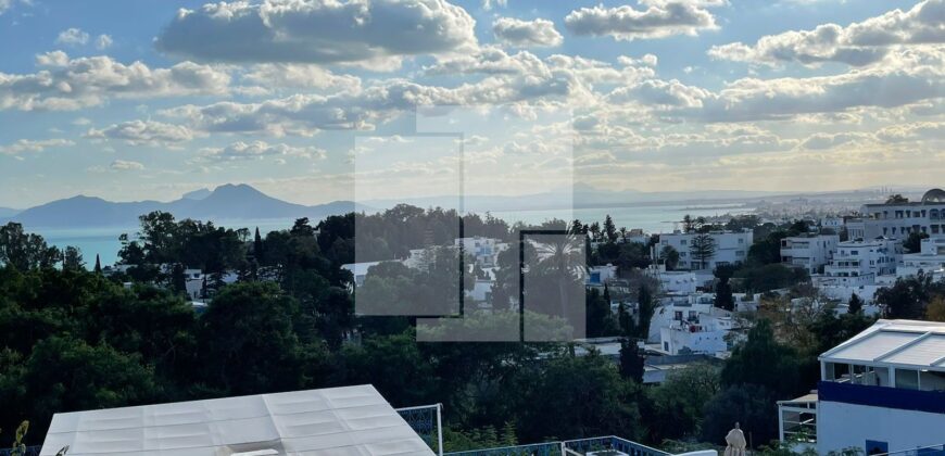 Villa avec vue sur mer, Sidi Bou Saïd