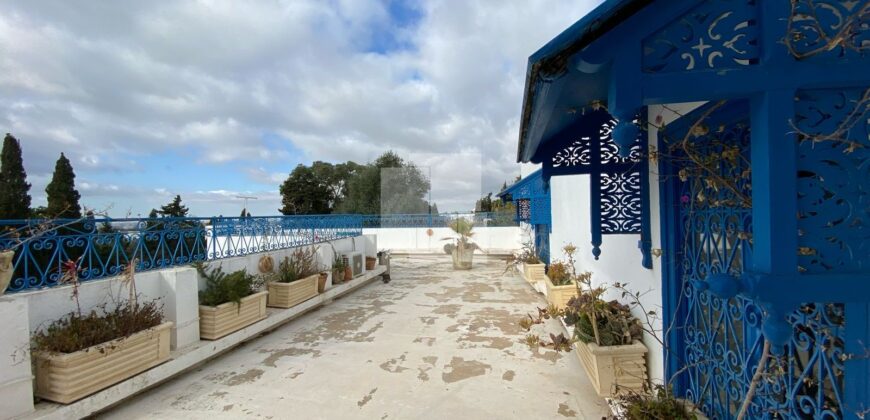 Duplex S+4 avec terrasse, Sidi Bou Saïd
