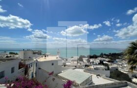 Villa de plain pied S+2 avec vue mer, Sidi Bou Saïd