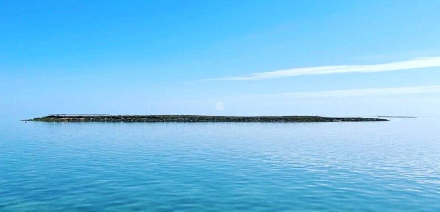 Domaine avec une vue imprenable sur toute la baie de Bounouma,Kerkennah