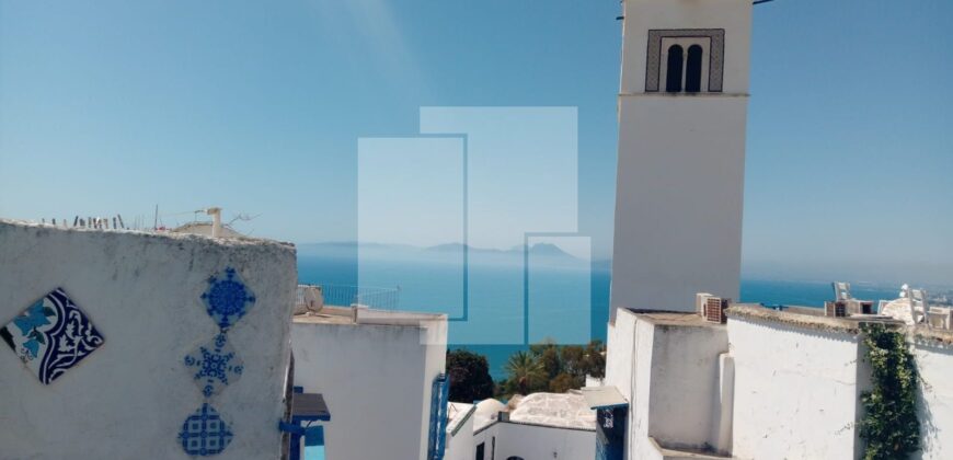 Appartement S+2 meublé avec vue sur mer, Sidi Bou Saïd