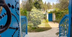 Villa de maître S+7 avec piscine, Sidi Bou Saïd