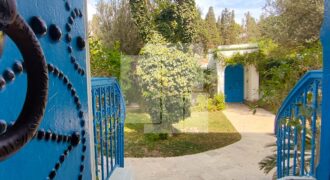 Villa de maître S+7 avec piscine, Sidi Bou Saïd