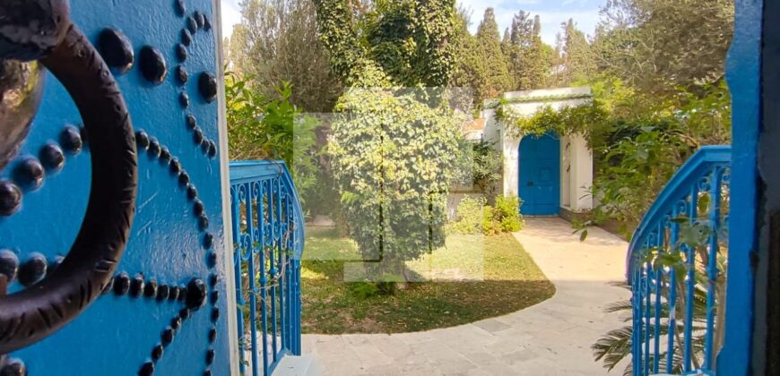 Villa de maître S+7 avec piscine, Sidi Bou Saïd