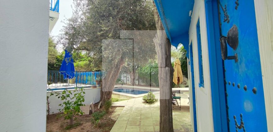 Villa de maître S+7 avec piscine, Sidi Bou Saïd