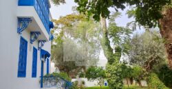 Villa de maître S+7 avec piscine, Sidi Bou Saïd