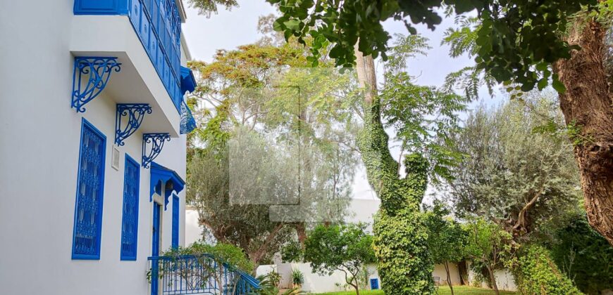 Villa de maître S+7 avec piscine, Sidi Bou Saïd