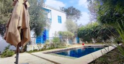 Villa de maître S+7 avec piscine, Sidi Bou Saïd