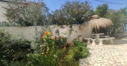 Villa S+4 avec jardin, Marsa Les pins