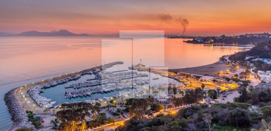 Villa de maitre S+6 avec vue sur mer, Sidi Bou Said