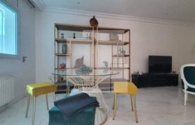 Rez de chaussée S+3 meublé,Marsa