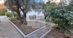 Villa à rénover – Deux niveaux indépendants, Tunis Villa à rénover – Deux niveaux indépendants, Tunis