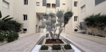 Appartement S+1 meublé, Lac 2