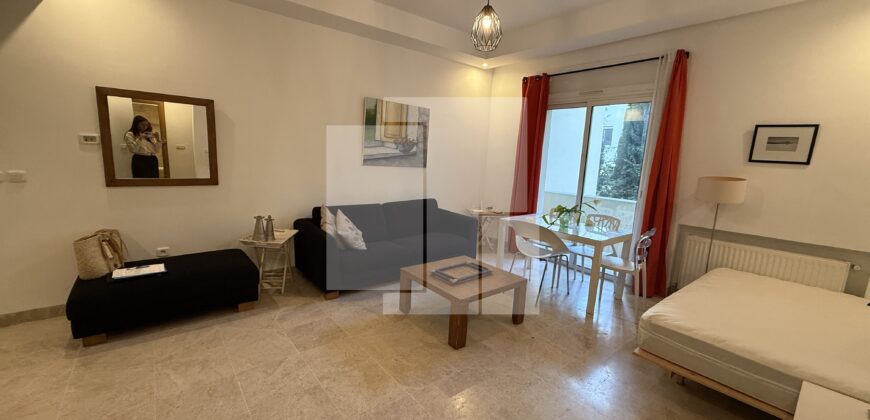 Appartement S+1 meublé, Lac 2