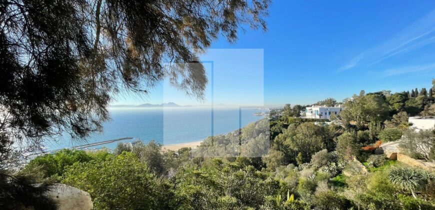Appartement meublé S+1 avec vue mer, Sidi Bou Saïd