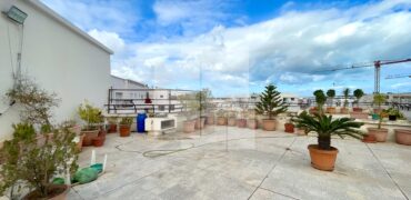 Appartement S+4 avec terrasse, Cité Les Palmerais L&rsquo;Aouina