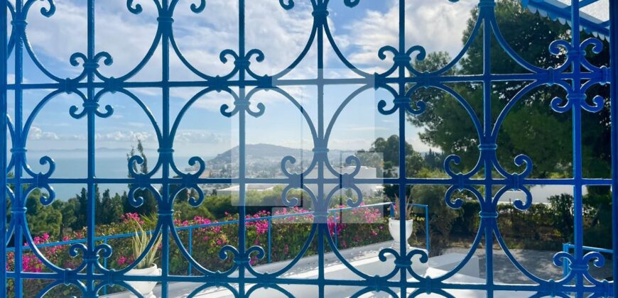 Villa S+3 de charme avec vue sur mer, Gammarth supérieur