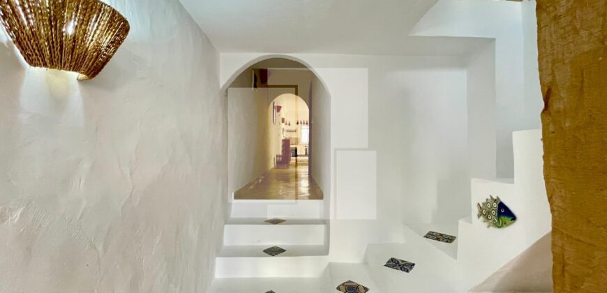 Duplex S+1 meublé, Sidi Bou Saïd