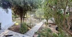 Villa S+4 avec jardin, Carthage