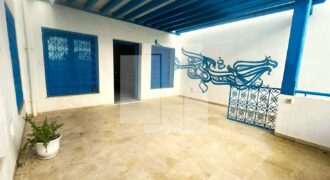 Duplex S+3 meublé, Sidi Bou Saïd