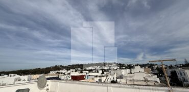 Appartement S+3, Carthage Amilcar