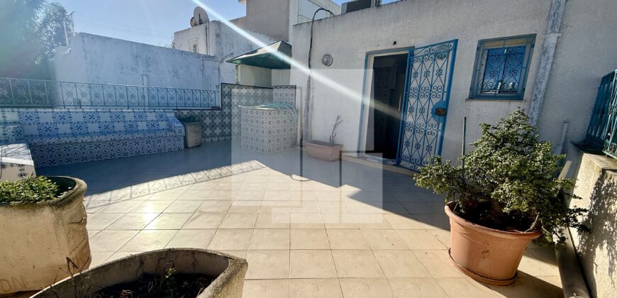 Duplex S+3, Carthage Amilcar