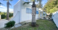 Villa S+3 de plain pied avec jardin, Gammarth supérieur