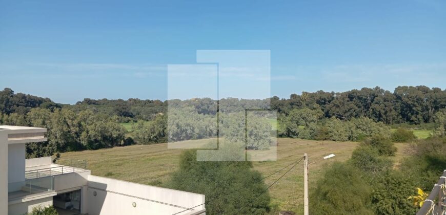 Villa S+4 avec piscine, Gammarth