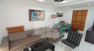 Appartement S+3 meublé, Lac 2