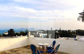 Duplex S+3 vue mer, Carthage Amilcar