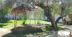 Villa S+3 de plain-pied, Chotrana