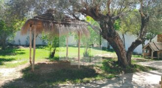 Villa S+3 de plain-pied, Chotrana