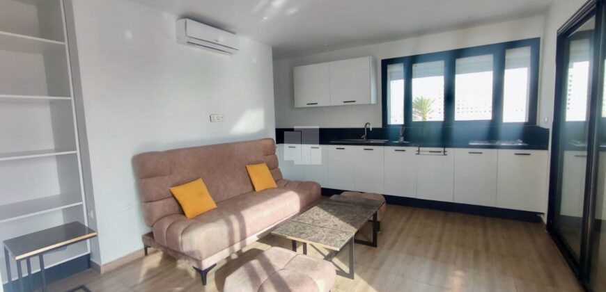 Appartement S+3 meublé avec rooftop,Marsa