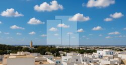 Triplex S+5 avec terrasse, Carthage Amilcar