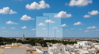 Triplex S+5 avec terrasse, Carthage Amilcar